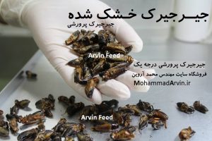 سایت محمد آروین (MohammadArvin.ir ): غذای حیوانات برپایه حشرات | جیرجیرک خشک شده آروین فید Arvin Feed با کیفیت و درجه یک در بسته بندی نیم کیلویی و یک کیلویی برای تغذیه انواع حیوانات | تولید و فروش مکمل پروتئینی درجه یک، جهت تغذیه انواع پرندگان زینتی | جیرجیرک خشک در تهران کرج قزوین مازندران شمال اصفهان شیراز یزد بوشهر اهواز کرمان تبریز همدان کاشان ساری رشت گرگان