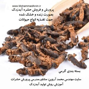 فروشگاه حشرات  آبدزدک خشک شده درجه یک | پروش آبدزدک | روش پرورش آبدزدک