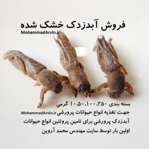 فروشگاه حشرات | آبدزدک خشک شده درجه یک | حشره آبدزدک خشک شده بسته بندی 10 گرمی 50 گرم 100 گرم 500 گرمی | پروش آبدزدک