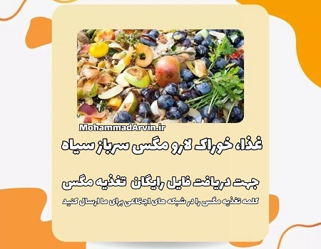 پرورش مگس سرباز سیاه . دریافت فایل رایگان تغذیه لارو مگس سرباز