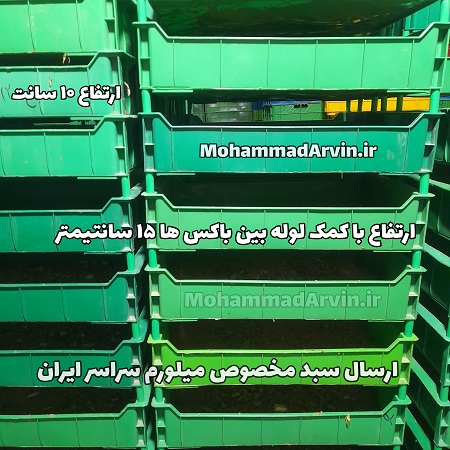 سبد مخصوص پرورش میل ورم mealworm in iran