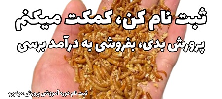 ثبت نام آموزش پرورش کرم میلورم