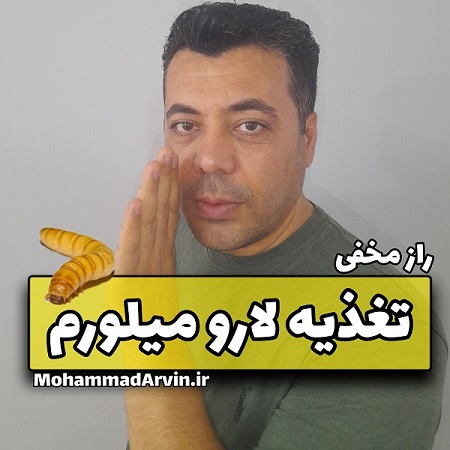 راز مخفی تغذیه میل ورم