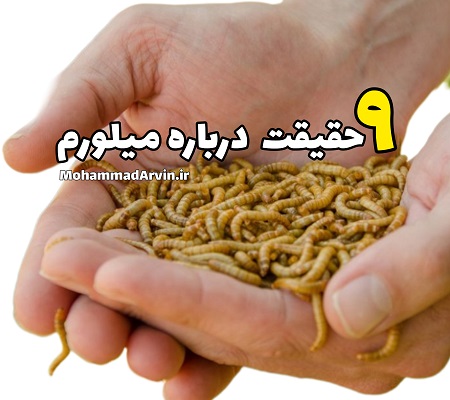 ۹ حقیقت درباره میلورم