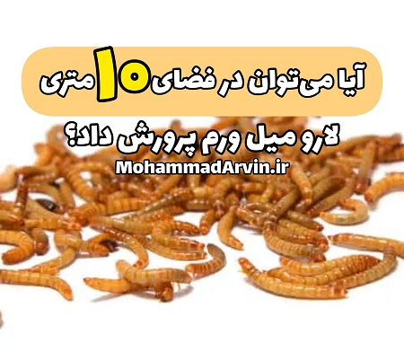 آیا می توان در فضای ۱۰ متری هم میل ورم پرورش داد؟