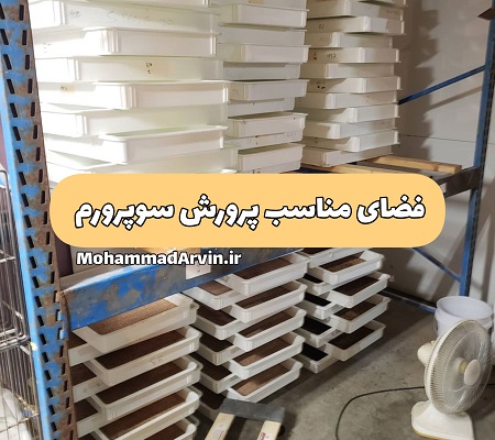 فضای مناسب پرورش سوپرورم