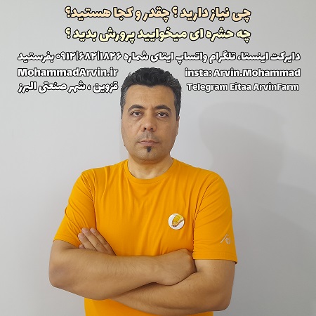 چی نیاز داری؟ تجهیزات پرورش حشرات زنده خشک