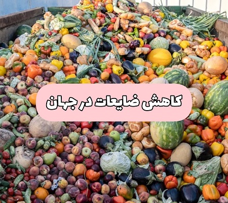 کاهش ضایعات در جهان