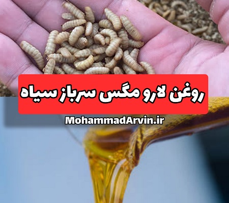 روغن لارو مگس سرباز سیاه