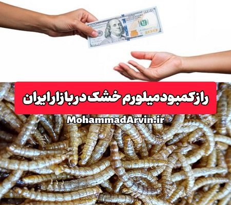 راز کمبود میلورم خشک در بازار ایران | راهنمای کامل سرمایه‌گذاری در صنعت حشرات