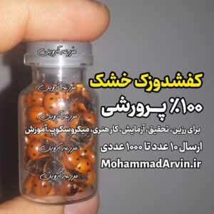 کفشدوزک خشک پرورشی برای آموزش، رزین کاری و کلکسیون