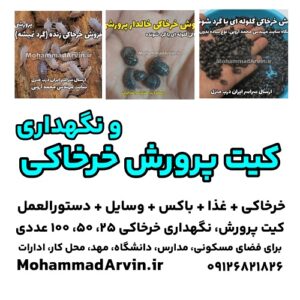 کیت پرورش خرخاکی و نگهداری