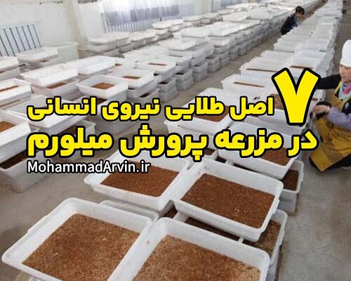 7 اصل طلایی نیروی انسانی در مزرعه پرورش میلورم