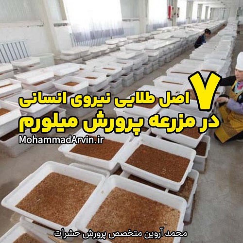 7 اصل طلایی نیروی انسانی در مزرعه پرورش میلورم