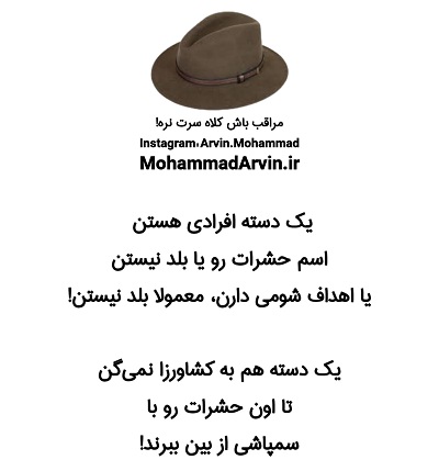 گول نخورید! هرگاه کسی به شما گفت "حشره سرباز