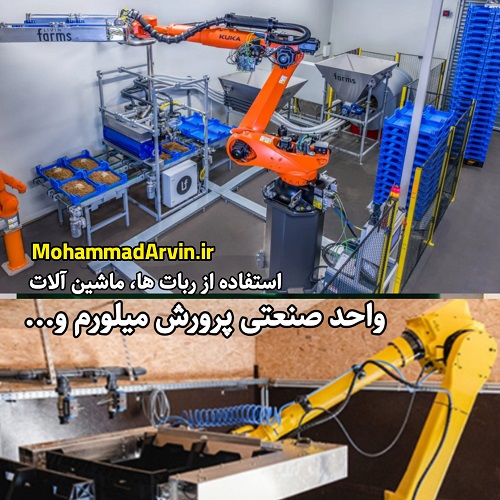 سوالات رایج پرورش کرم میلورم ، سوسک تاریکی واحد صنعتی پرورش میلورم کارخانه میلورم