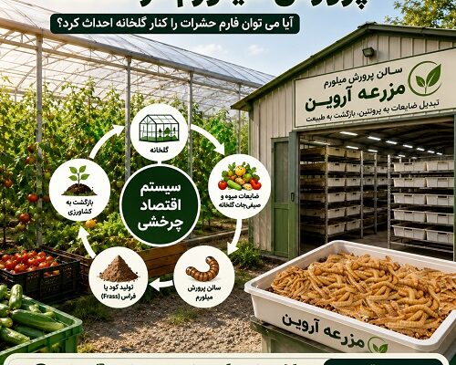 پرورش میلورم در گلخانه، آیا می توان فارم حشرات را کنار گلخانه احداث کرد؟
