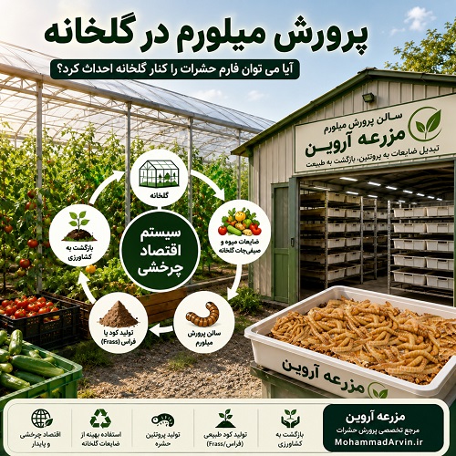 پرورش میلورم در گلخانه، آیا می توان فارم حشرات را کنار گلخانه احداث کرد؟