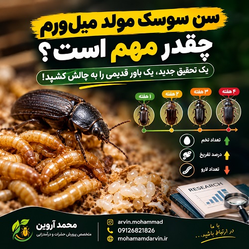 سن سوسک مولد میل‌ورم چقدر مهم است؟ تأثیر سن سوسک بر تولید تخم و لارو